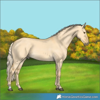 Horse Color:Palomino Dun 