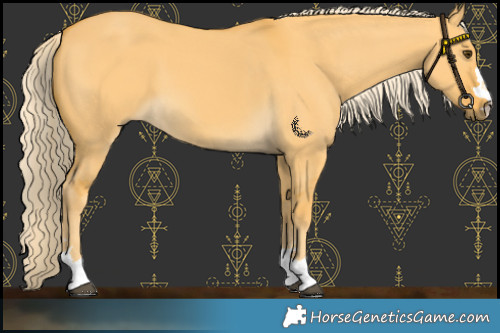 Horse Color:Palomino Dun 