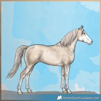 Horse Color:Chocolate Palomino Pearl Dun Sabino