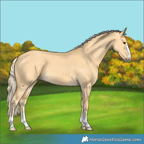 Horse Color:Palomino Dun 
