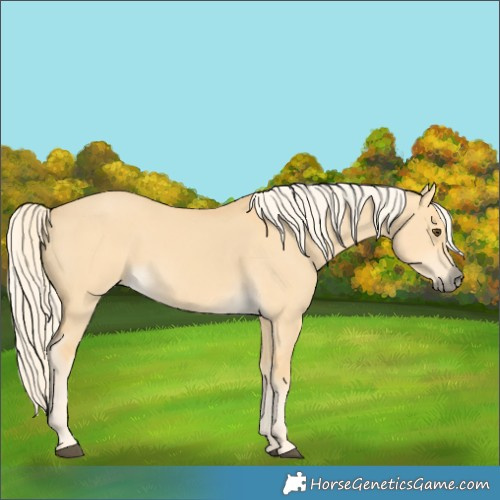 Horse Color:Palomino Dun 