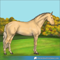 Horse Color:Palomino Dun 