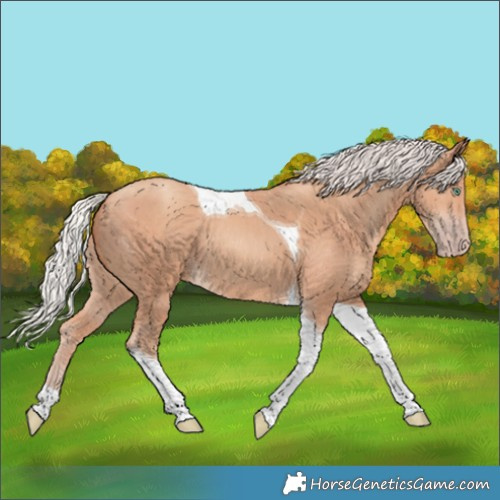 Horse Color:Silver Classic Champagne Tobiano 