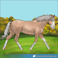 Horse Color:Silver Classic Champagne Splash