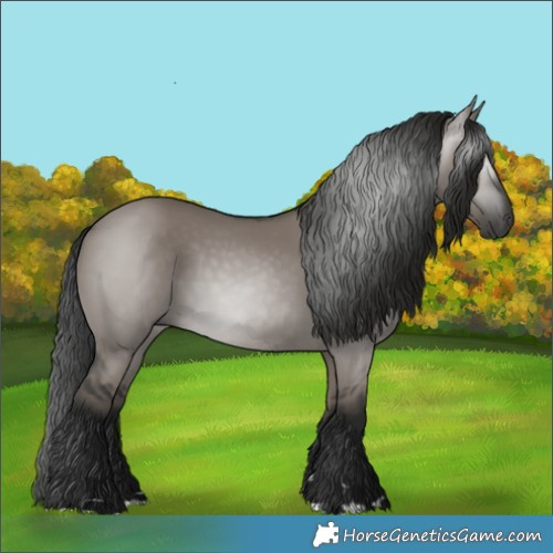 Horse Color:Gray Grullo 
