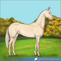 Horse Color:Palomino Dun 