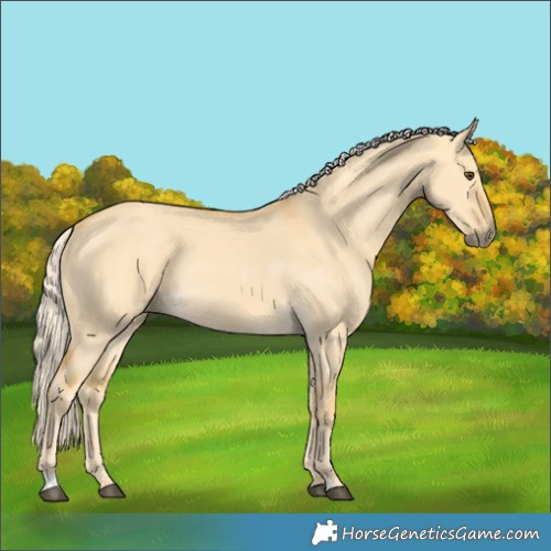 Horse Color:Palomino Dun 
