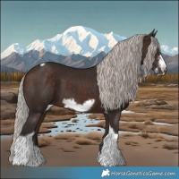 Horse Color:Silver Brown Sabino Tobiano Frame