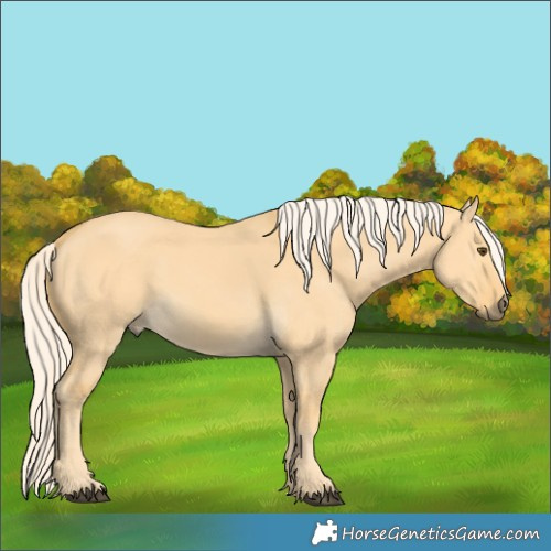 Horse Color:Palomino Dun
