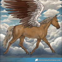 Horse Color:White Spotted Chocolate Palomino Dun 