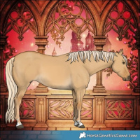 Horse Color:Palomino Dun 