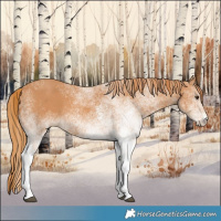 Horse Color:White Spotted Chestnut 