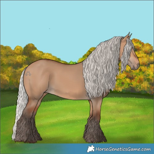 Horse Color:Silver Bay Dun 