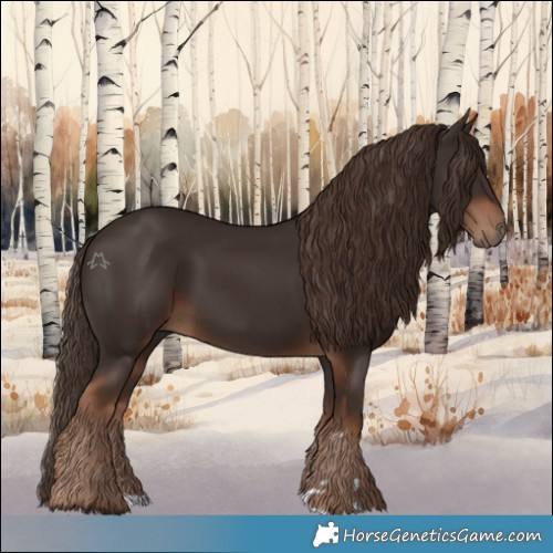 Horse Color:Liver Chestnut 