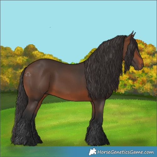 Horse Color:Brown 