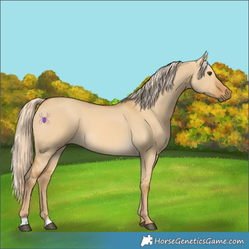 Horse Color:Palomino Dun 