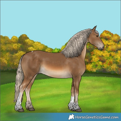 Horse Color:Chocolate Palomino Tobiano Rabicano 