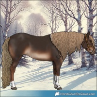 Horse Color:Liver Chestnut Tobiano Rabicano 