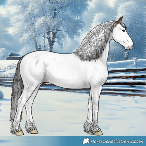 Horse Color:Brown Splash Tobiano