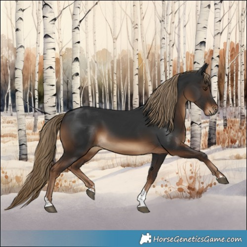 Horse Color:Gray Liver Chestnut Tobiano Rabicano 