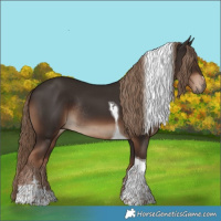 Horse Color:Liver Chestnut Tobiano Rabicano 