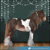 Horse Color:Liver Chestnut Tobiano Rabicano