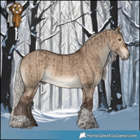 Horse Color:Silver Brown Dun Rabicano and Silver Bay Dun Tobiano Rabicano