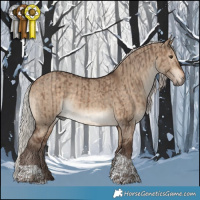 Horse Color:Silver Brown Dun Rabicano and Silver Bay Dun Tobiano Rabicano