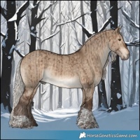 Horse Color:Silver Brown Dun Rabicano and Silver Bay Dun Tobiano Rabicano