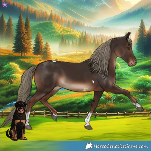 Horse Color:Liver Chestnut Tobiano Rabicano 