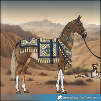 Horse Color:Chocolate Palomino Tobiano Rabicano