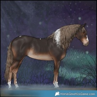Horse Color:Liver Chestnut Tobiano Rabicano 