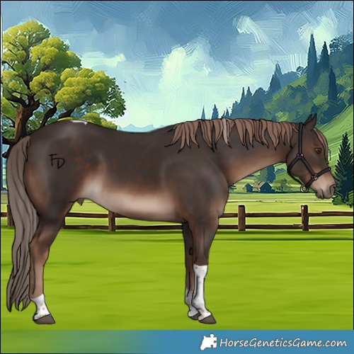 Horse Color:Liver Chestnut Tobiano Rabicano 