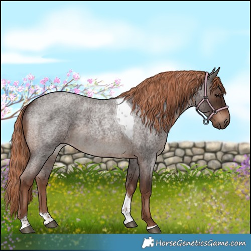 Horse Color:Liver Red Roan Tobiano Rabicano 