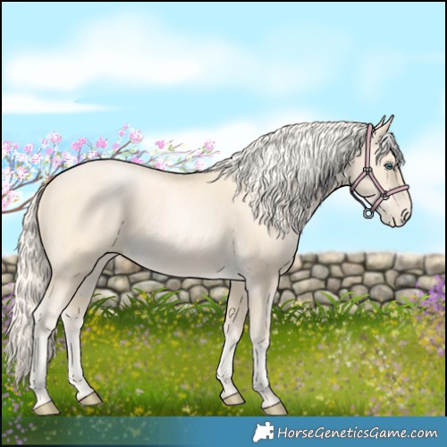 Horse Color:Palomino Pearl 
