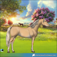Horse Color:Palomino Dun 