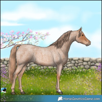 Horse Color:Red Roan