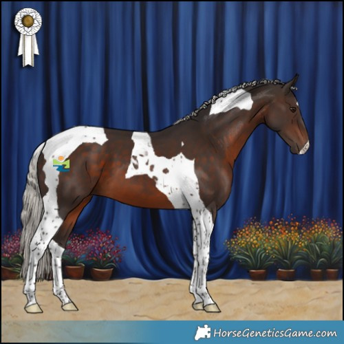 Horse Color:Silver Brown Tobiano 