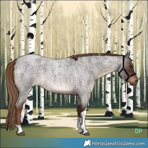 Horse Color:Liver Red Roan Tobiano Rabicano 