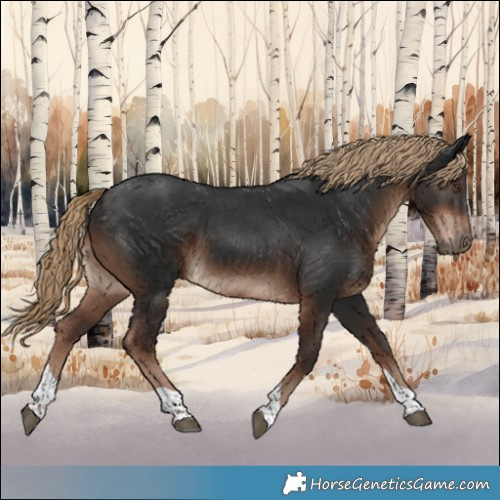 Horse Color:Liver Chestnut Tobiano Rabicano 