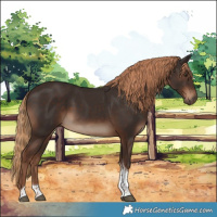 Horse Color:Liver Chestnut Tobiano Rabicano 