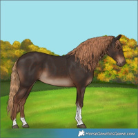 Horse Color:Liver Chestnut Tobiano Rabicano 
