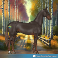 Horse Color:Liver Chestnut 