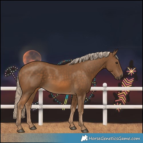 Horse Color:Chocolate Palomino 