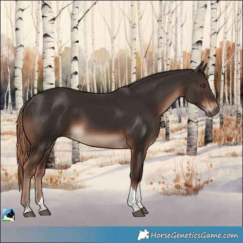 Horse Color:Liver Chestnut Tobiano Rabicano