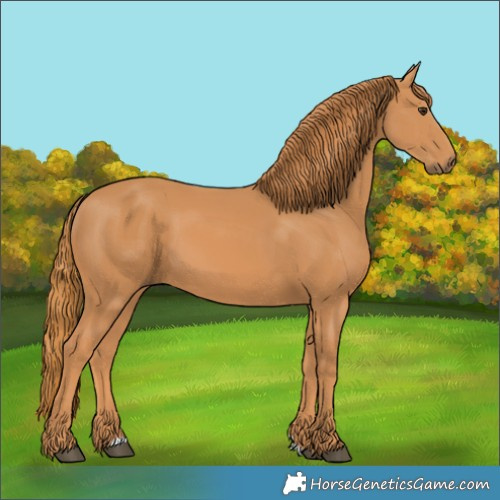 Horse Color:Chestnut 
