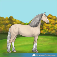 Horse Color:Silver Classic Champagne Dun Splash Frame 