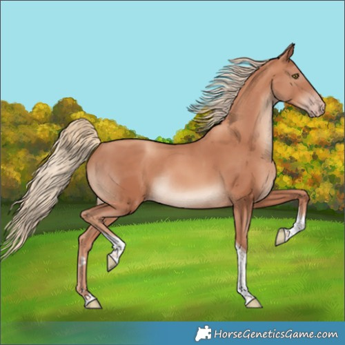 Horse Color:Gold Champagne Tobiano Rabicano 