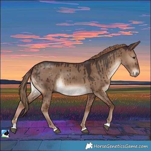 Horse Color:Liver Red Dun Rabicano Brindle