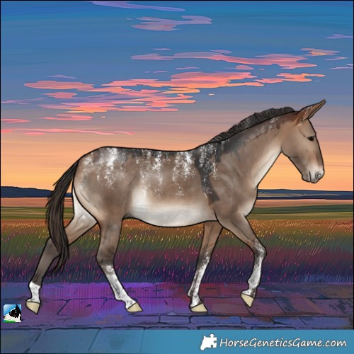 Horse Color:Powder White Bay Dun Rabicano 